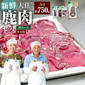 【ふるさと納税】大任特産 ヘルシー鹿肉セット(背ロース・モモ肉) 計約750g 鹿肉 ジビエ お肉 背ロース もも肉 冷凍 福岡県産 国産 福岡県 大任町 送料無料