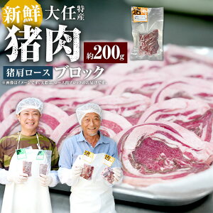 【ふるさと納税】大任特産 猪ロース肉ブロック 猪肉 いのしし肉 イノシシ肉 ジビエ お肉 肩ロース 冷凍 福岡県産 国産 福岡県 大任町 送料無料