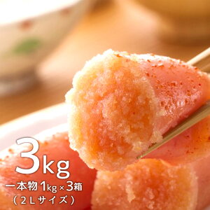 yӂ邳Ɣ[Łz˂ӂ F hqq 2LTCY v3kg { 1kg×3 q ߂񂽂 ܂  O 񂹃O т̂ ͂   Ⓚ C 
