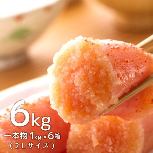 yӂ邳Ɣ[Łz˂ӂ F hqq 2LTCY v6kg { 1kg×6 q ߂񂽂 ܂  O 񂹃O т̂ ͂   Ⓚ C 