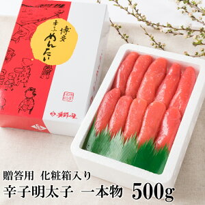 yӂ邳Ɣ[Łzhqq { 500g ϔ q ߂񂽂 ^R ^q  ܂  т̂ Mtg i Ⓚ   yVX[p[SALE 9J