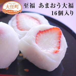 yӂ邳Ɣ[ŁzyY܂gpz ܂啟 16 v800g (50g×8)×2Zbg 䕑啟  C`S aَq XC[c َq ʕ t[c 啟   Mtg Ⓚ 