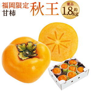 yӂ邳Ɣ[Łz IWiuh Ê` H Di 1.8kg 5ʁ`7ʓ y2025N10{-11{\z Y Y BY t[c ʕ Mtg 蕨 ①z 