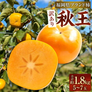 yӂ邳Ɣ[Łzy󂠂iz uh` H 5-7 1.8kg 햳 y2025N11{-12{\z 󂠂 PA ƒp ` Ȃ Y BY Y JL  ʕ t