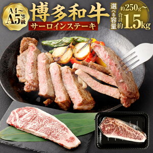 yӂ邳Ɣ[ŁzIׂ eʁyA4EA5za T[C Xe[L 250g`1.5kg 1250g јa Y BY Y Y A4 A5 Xe[L    Ⓚ  