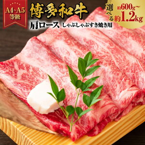 yӂ邳Ɣ[ŁzIׂ eʁyA4-A5za [X Ԃ Ăp 600g  1.2kgi600g×2pbNj a   [X ₫ Ă IWiBOX