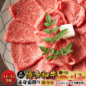 yӂ邳Ɣ[ŁzIׂ eʁ󂠂IyA4-A5za Ԑg ~ Ԃ ĂpiEj600g  1.2kgi600g×2pbNj a   [X  