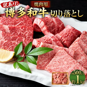yӂ邳Ɣ[ŁzIׂ遄󂠂 a ē ؂藎Ƃ 500g/v1kg 1pbN500g јa BY Y Y    Y [XEo Ă ₫ɂ BBQ ؗ 