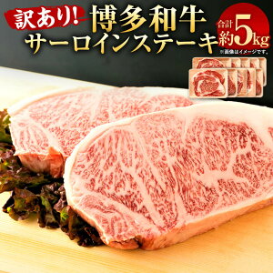 yӂ邳Ɣ[Łz󂠂 a T[C Xe[LZbg v5kg 250g×2×10pbN јa BY Y Y    Y Ⓚ  C 