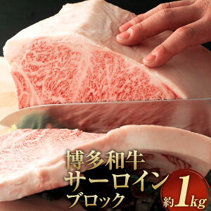 yӂ邳Ɣ[Łza T[CubN 1kg 1L T[C BY Y Y јa    ϔ Ⓚ  C  yVX[p[SALE 9J