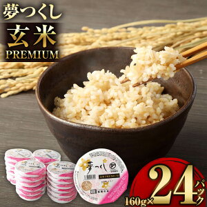 yӂ邳Ɣ[Łz  PREMIUMpbN 160g×24pbN pbN ăpbN W  pbN͂ 퉷 uh pbNCX H ۑH CX^g Y  