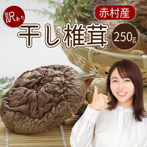 yӂ邳Ɣ[Łz Y ԑY ő 250g ƒp 󂠂  LmR ̂  L1