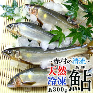 yӂ邳Ɣ[Łz Ⓚ  300g ʌ VR  VN  ԑ ӂ邳 [ @3E4