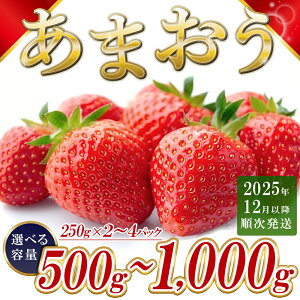 Y ܂ Iׂeʁ 500gOi250g×2j1000gOi250g×4j12ȍ~ 3KC4