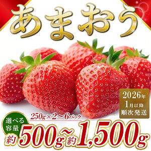 Y ܂ Iׂeʁ500gO(250g×2pbN)1000gO(250g×4pbN)1500gO(250g×6pbN)(1`3) 3KC1
