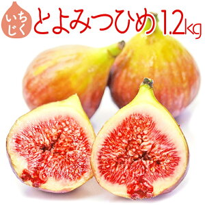 yӂ邳Ɣ[ŁzY Ƃ݂Ђ C`WN 1.2kg 300g × 4P t[c ʕ { VN  ԉ  ԑ XC[c  W[V[2L7
