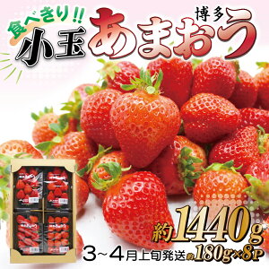 yӂ邳Ɣ[Łz JA ނȂ I Hׂ TCY u  ܂ v  180 g × 8 pbN   C`S  t[c  ԑ 2L12