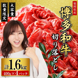 yӂ邳Ɣ[ŁzY a ؂藎Ƃ 1.6kg  a ē   Y Ⓚ  BY Ă J[  Ⴊ   ԑ@2L6