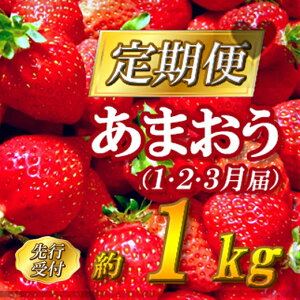 yӂ邳Ɣ[Łzys\zYu܂v3񂨓͂ (1E2E3) 2J2