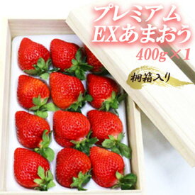 【ふるさと納税】ティッシュボックス用 特別仕様 の 桐箱入り プレミアム あまおう　あまおう EX400g×1 パック （ 4パック ） 3SA3