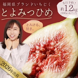 【ふるさと納税】福岡県 ブランド いちじく 「 とよみつひめ 」 約 1.2kg ( 約 300g × 4パック ) イチジク 無花果 国産 フルーツ 果物 食物繊維 美容 送料無料 3W2