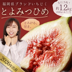 yӂ邳Ɣ[Łz uh  u Ƃ݂Ђ v  1.2kg (  300g × 4pbN ) C`WN ԉ Y t[c ʕ H@ e  3W2