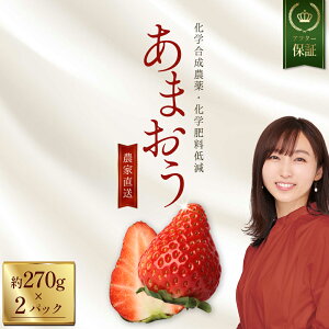 yӂ邳Ɣ[Łzyʌz ʍ͔| _ƒ ܂ 270gO × 2pbN  C`S  fU[g ʕ  t[c W ɂ P[L ɂ s\  ԑ 3W30