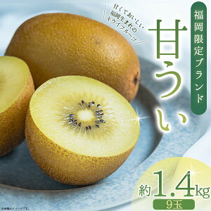 yӂ邳Ɣ[ŁzY LEC Â 1.4kg (9) ܂ ܂ { t[c ʕ t[c ԑ  3W25
