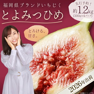 yӂ邳Ɣ[Łz uh  u Ƃ݂Ђ v  1.2kg (  300g × 4pbN ) C`WN ԉ Y t[c ʕ H@ e  3W2