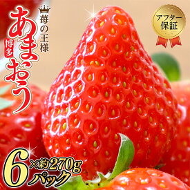【ふるさと納税】テレビ 「ヒルナンデス」で紹介されました！ 【福岡県産 あまおう 】 訳あり グランデ 約270g前後× 6P いちご イチゴ 苺 博多 デザート 果物 くだもの フルーツ ジャム スムージー ケーキ に 先行予約 数量限定 人気 おすすめ 3W13