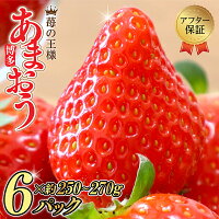 【先行予約！】福岡県産 あまおう グランデ 驚きの6パック！！！