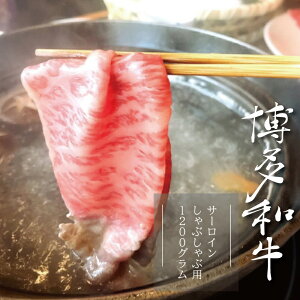 yӂ邳Ɣ[ŁzyA5A4zaT[CԂԗp 600g×2pbN@v1200g  a Ԃ    3V3