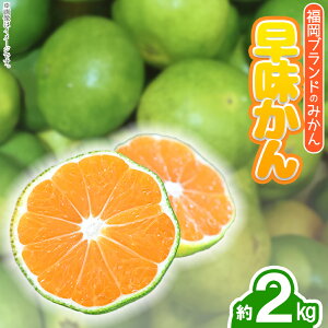 yӂ邳Ɣ[Łz uh݂E2kg ʕ  t[c   ԑ 4A16