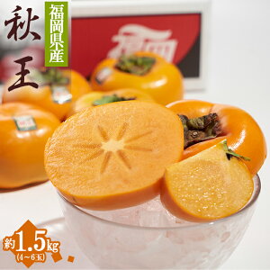 yӂ邳Ɣ[Łz  uh` H  1.5kg `  { t[c ʕ  ԑ 4A18