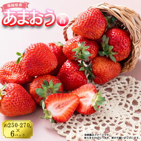 【ふるさと納税】 予約 春 お届け 福岡産 あまおう 6パック いちご イチゴ 苺 ベリー ビタミン 博多 高級 デザート 果物 くだもの フルーツ ジャム ケーキ にも 送料無料 数量限定 福岡 赤村 4A4