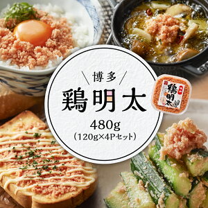 yӂ邳Ɣ[Łz @{480gi120g×4PZbgjY24
