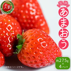 【ふるさと納税】 不揃い 数量限定 あまおう 約275gx4パック(約1,100g) いちご 苺 イチゴ 福岡 先行予約 高級 フルーツ お取り寄せ ご当地グルメ 福岡土産 取り寄せ グルメ 福岡県 食品 赤村 4H4-S