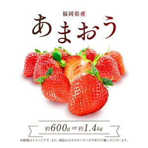 yӂ邳Ɣ[ŁzY ܂ Iׂe 600(300g×2P) or 1.4kg(280g×5P)  t[c ʕ { C`S  Y  2Z1