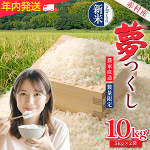 yӂ邳Ɣ[Łz ԑY _ƒyʌz     iNj 10kg  ԑ 4U1