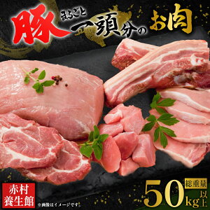 yӂ邳Ɣ[ŁzyƎҎxԗizԑY {  ۂ 1 i d 50kg ȏ j Y ؓ  { |   ԑ B25