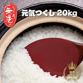 楽天市場 ふるさと納税 米 kgの通販
