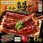 容量選べる 国産うなぎ蒲焼大サイズ 2尾 4尾 6尾 鰻蒲焼用タレ・山椒付 うなぎ生産量日本一鹿児島県産・宮崎県産・熊本県産 父の日 丑の日 P61