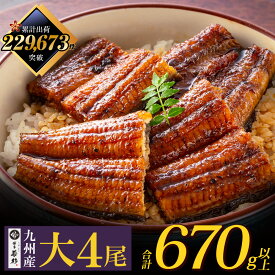 【ふるさと納税】【8/19寄附額改定】数・サイズが選べる 国産うなぎ蒲焼特大/大サイズ 2尾 4尾 6尾（最大1000g以上） 鰻蒲焼用タレ・山椒付 博多若杉 うなぎ生産量日本一 鹿児島県産 宮崎県産 熊本県産 国産 夏ギフト U61 （クラウドファンディング対象）