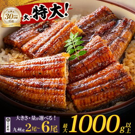 【ふるさと納税】数・サイズが選べる 国産うなぎ蒲焼特大/大サイズ 2尾 4尾 6尾（最大1000g以上） 鰻蒲焼用タレ・山椒付 博多若杉 うなぎ生産量日本一 鹿児島県産 宮崎県産 熊本県産 国産 ★レビューキャンペーン開催中★