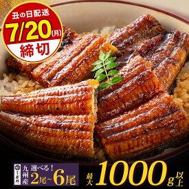 【ふるさと納税】選べる！ 国産 うなぎ 蒲焼 特大/大サイズ（最大1000g以上）2尾 4尾 6尾（ ふるさと納税 うなぎ 国産 訳あり うなぎ生産量 日本一 鹿児島県産 宮崎県産 熊本県産 博多若杉 ふるさと ランキング 人気 福岡 送料無料 ）