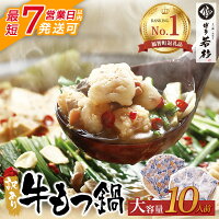選べるお届け月予約！博多もつ鍋 若杉 訳あり規格外大容量10人前