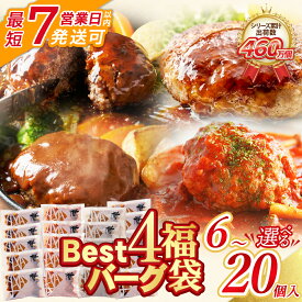 【ふるさと納税】 累計460万個突破！ Best4 ハンバーグ セット 4種 大容量 お試し 少量 6〜20個セット 4種ハンバーグセット 牛肉 豚肉 洋食 デミソース てりやき ジャポネ 博多若杉 コスパ 送料無料 ★レビューキャンペーン開催中★