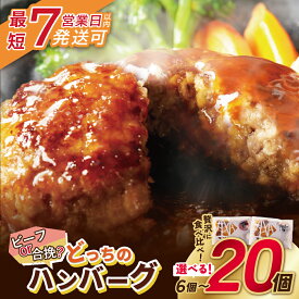 【ふるさと納税】 累計460万個突破！どっちのハンバーグ!?デミグラスソース 6〜20個セット(ビーフ・合挽 各10個/各3個) 大容量 お試し 牛肉 豚肉 デミソース 少量 送料無料 博多若杉 最短発送 ★レビューキャンペーン開催中★