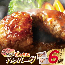 【ふるさと納税】 累計460万個突破！どっちのハンバーグ!?デミグラスソース 6〜20個セット(ビーフ・合挽 各10個/各3個) 大容量 お試し 牛肉 豚肉 デミソース 少量 送料無料 博多若杉 最短発送 ★レビューキャンペーン開催中★