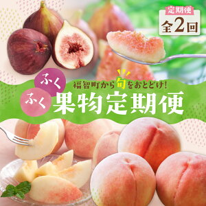 yӂ邳Ɣ[Łzy2026Nzs\t q ӂӂʎցiuEN2j q  2 Hה ʕ t[c   Ђ  C`WN 